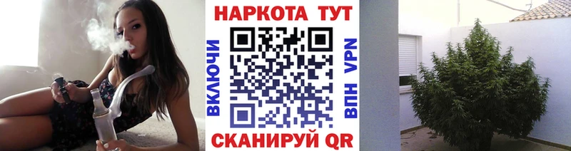 Купить закладку Исилькуль Alpha PVP Мефедрон Бутират Каннабис ГАШ