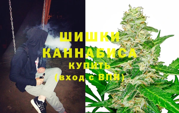 гидропоника Алзамай