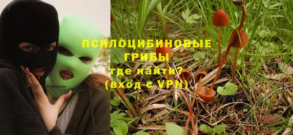 гидропоника Алзамай