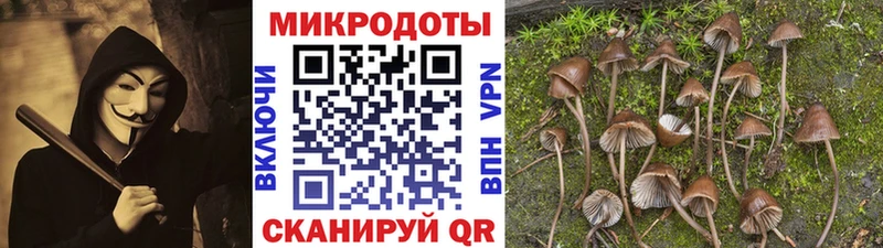 Галлюциногенные грибы Magic Shrooms  Исилькуль 